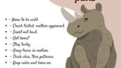 Rhino Puns and Jokes