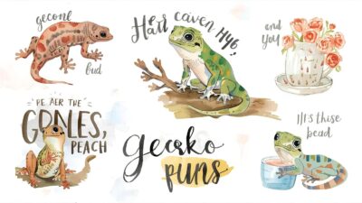 Gecko Puns
